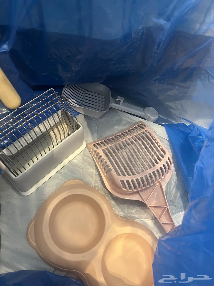 Cat Items64432060650882111