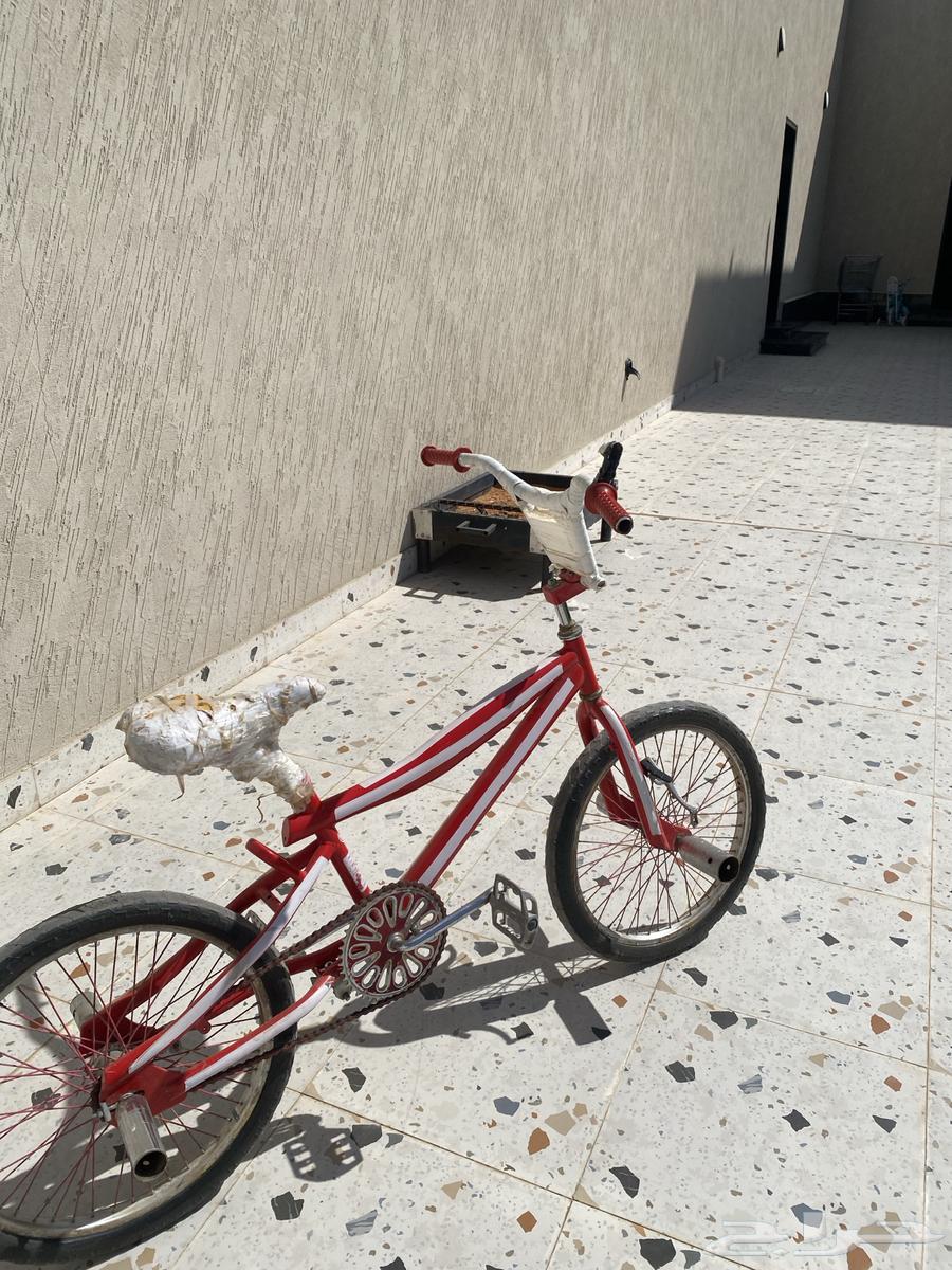 سيكل معدل مقاس 2064429290552322111