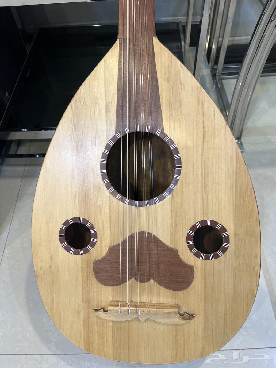 عود نصف لوكس للبيع64430643616001110