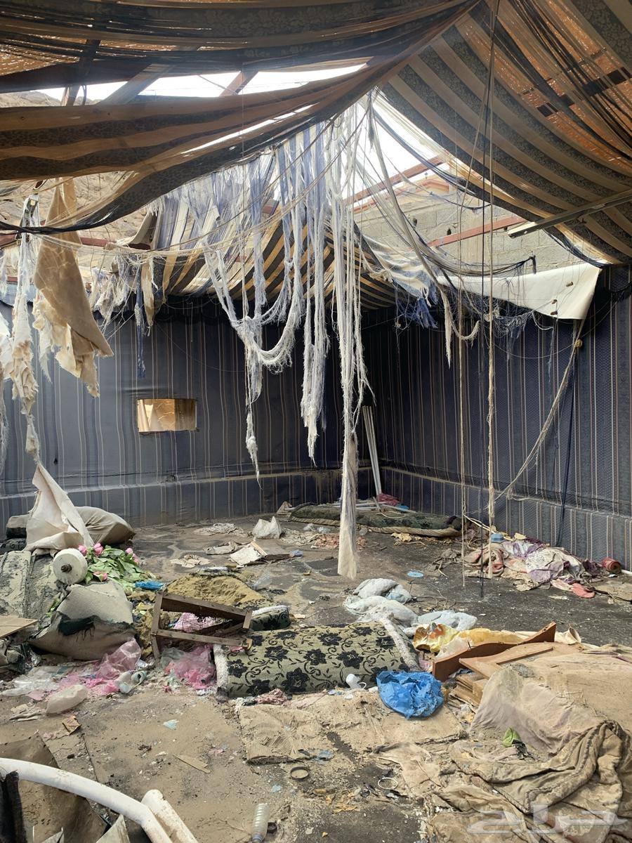 بيت شعر للبيع بالي فيه64430531878274111