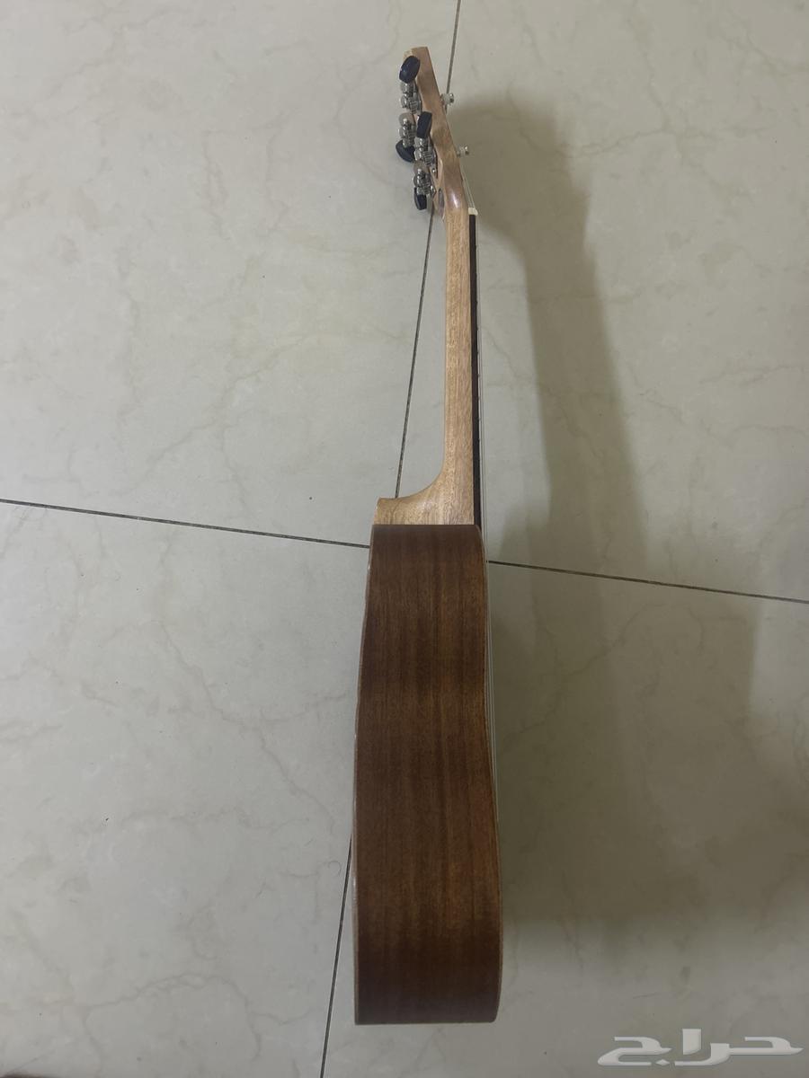 قيتار يوكليلي للبيع في الخرج64432795765889113
