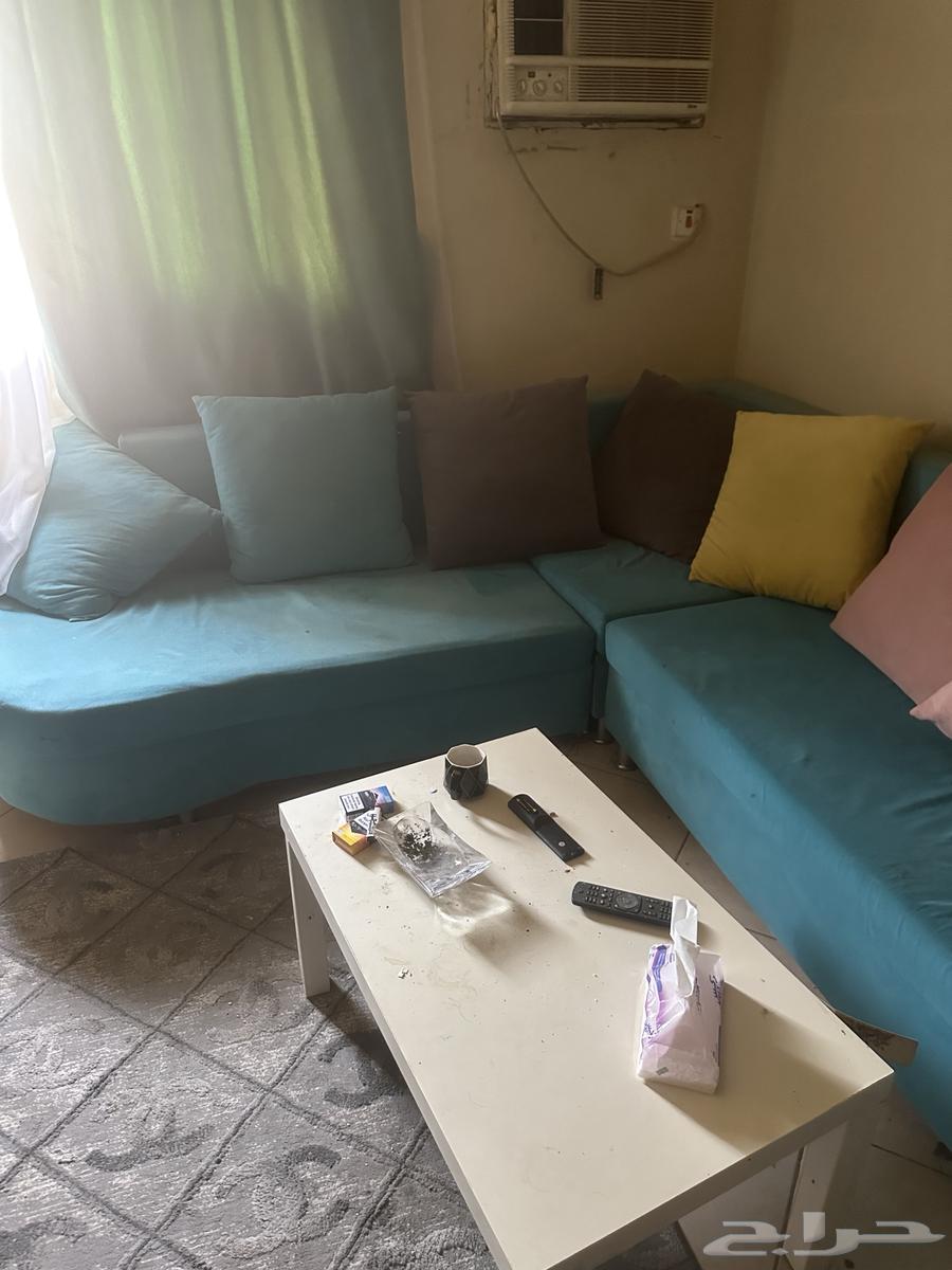 الروضة الرياض64429613886467112