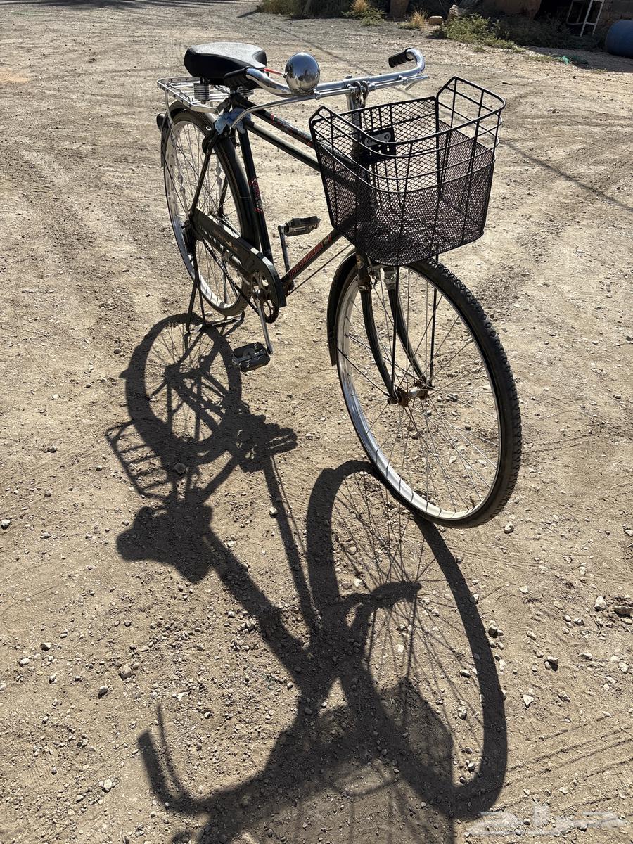 اعرضلكم سيكل للبيع64427623417986110