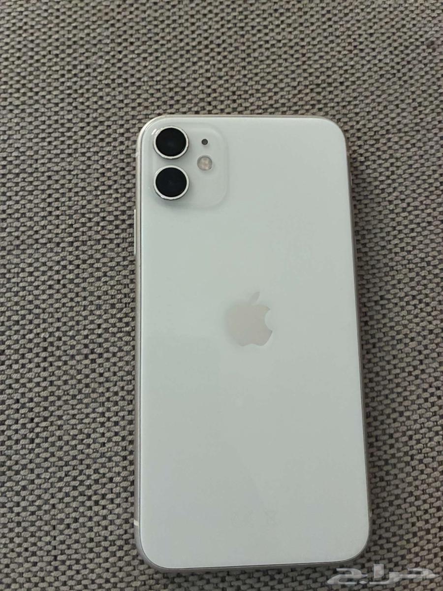 ايفون1164429103164289110