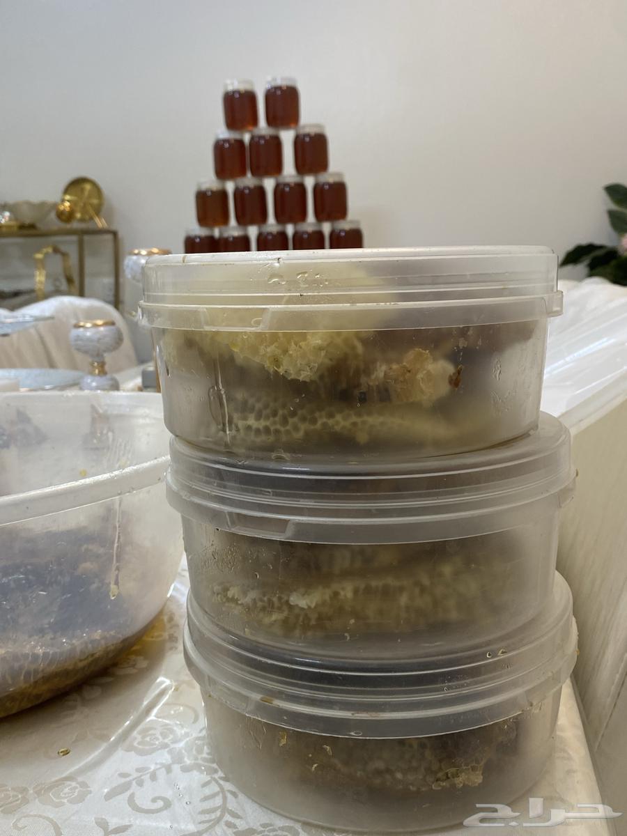 عسل شوكة مضمون وعلى الشرط64432345782658112