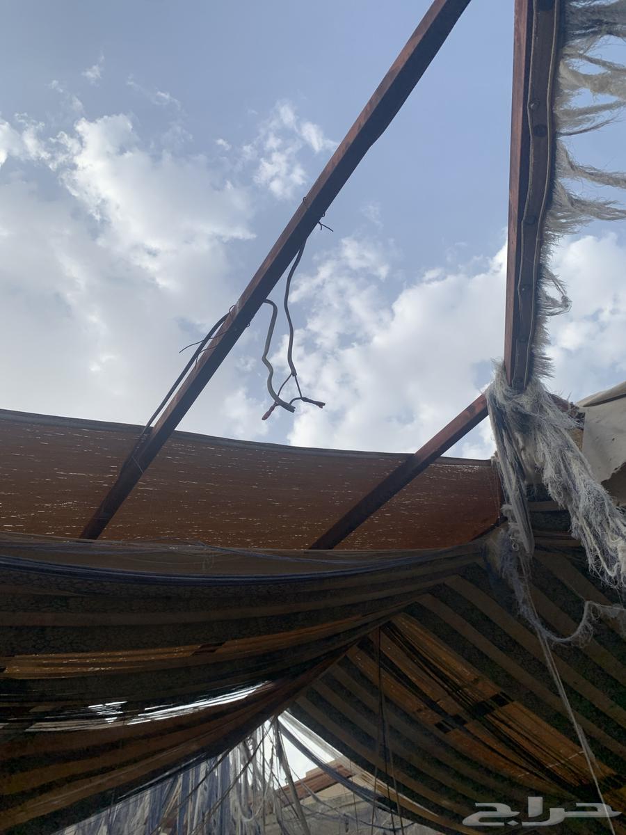 بيت شعر للبيع بالي فيه64430531878274112