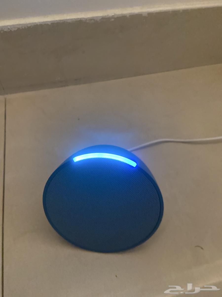 Alexa64429708466177110