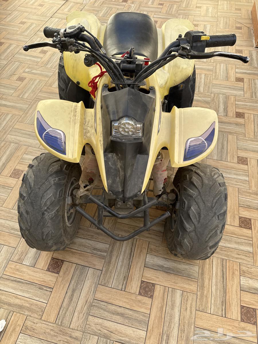 دباب تايون مقاس 50 للبيع64590052149505111