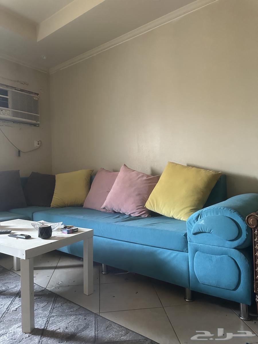 الروضة الرياض64429613886467110