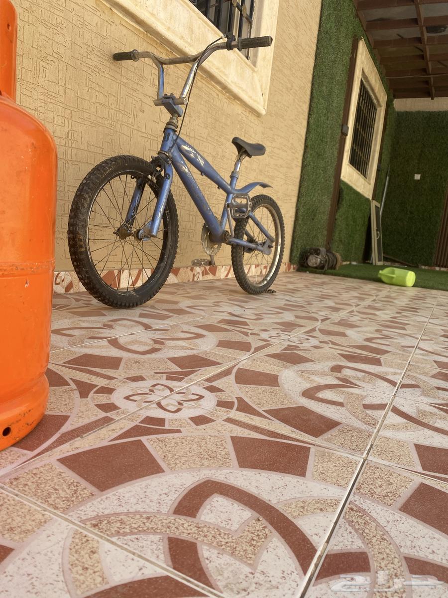 سيكل كوبرا64427865475331110