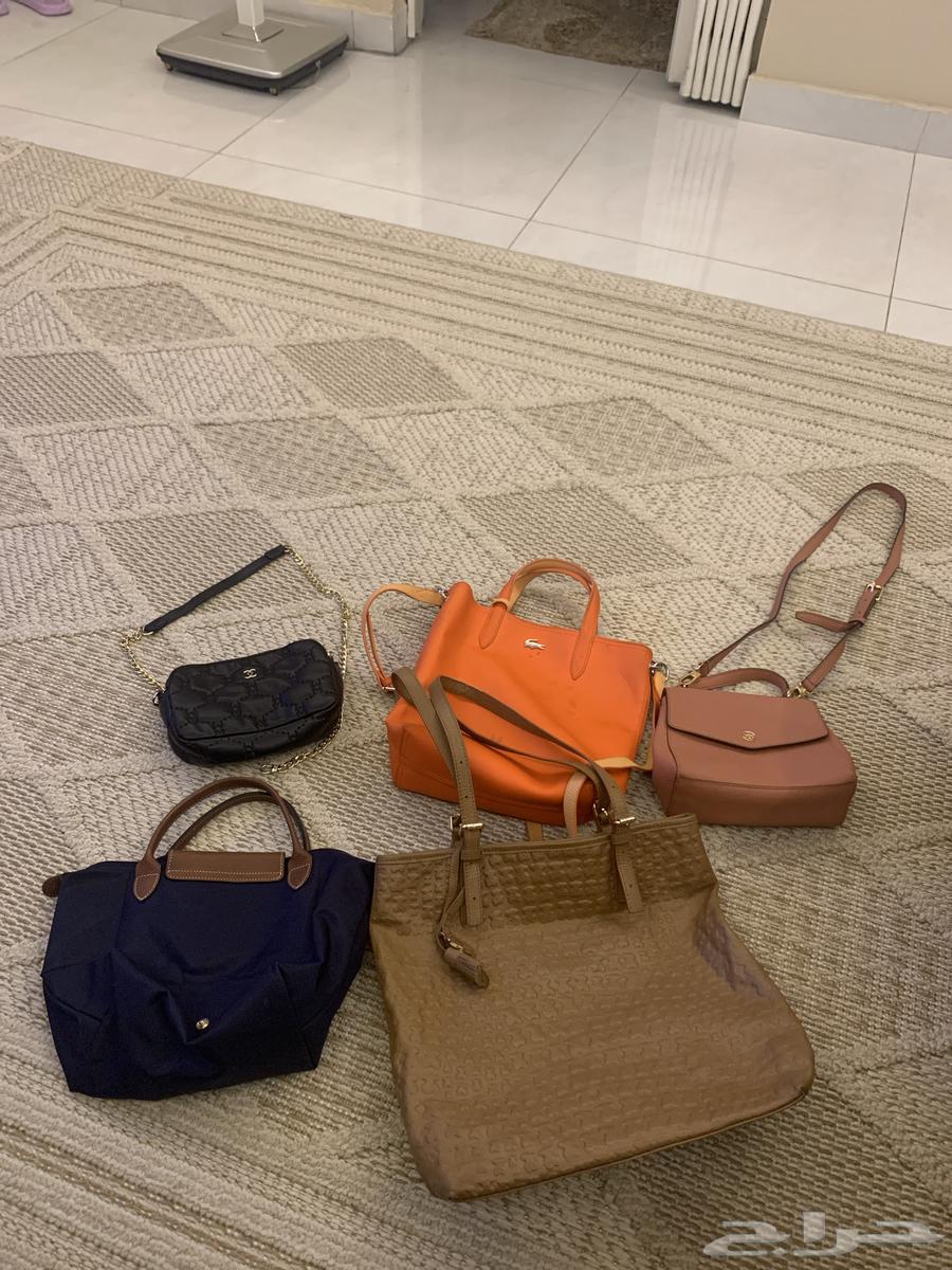 5 شنط للبيع شاريتيها بسعر غالي قبل استخدام سنه64432482196994110