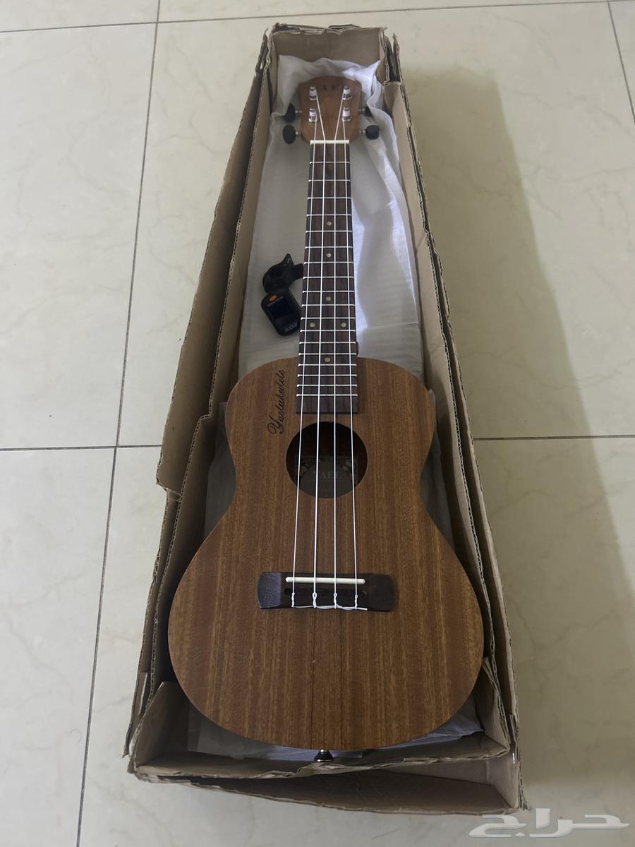 قيتار يوكليلي للبيع في الخرج64432795765889111