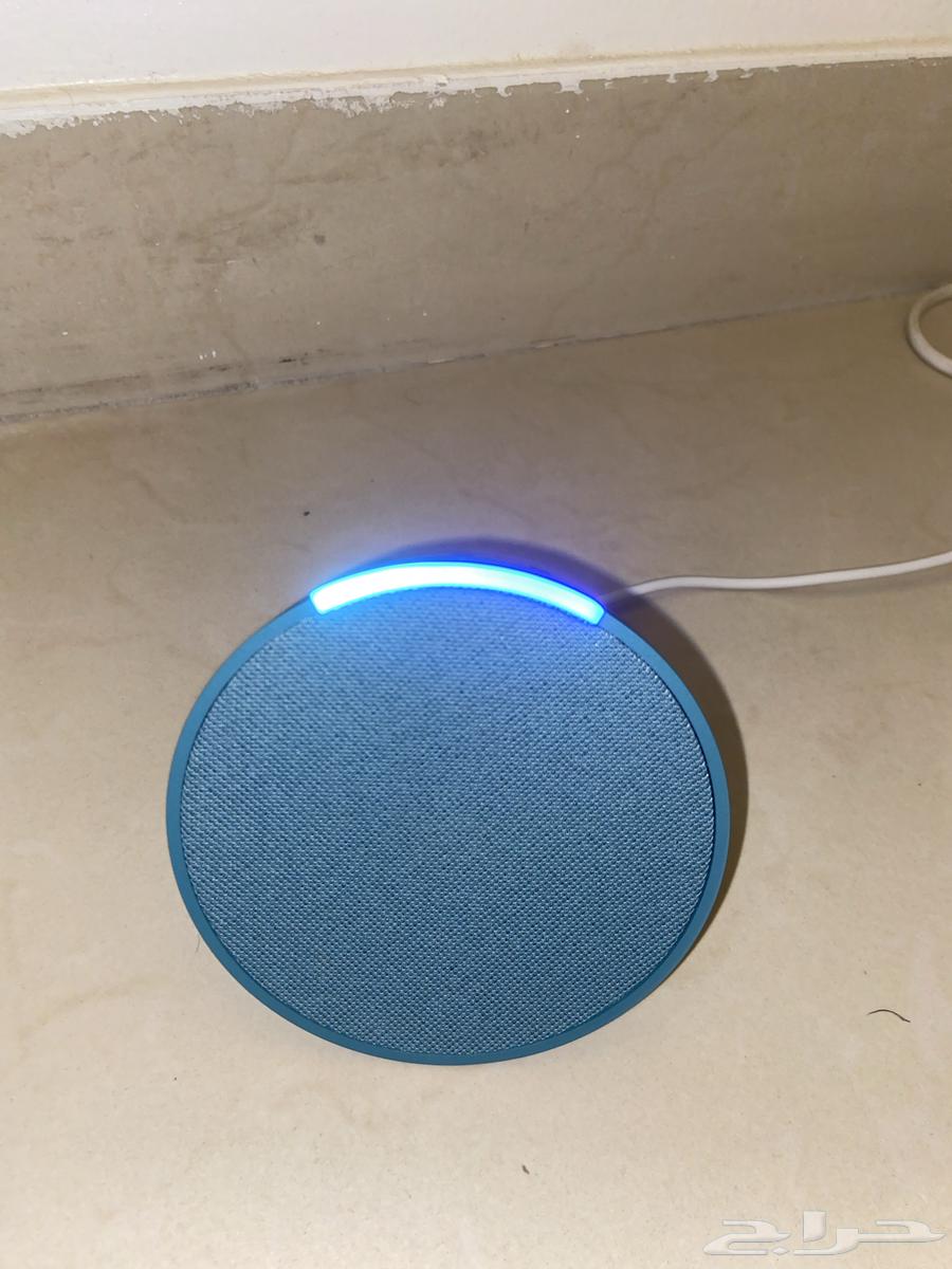 Alexa64429708466177111