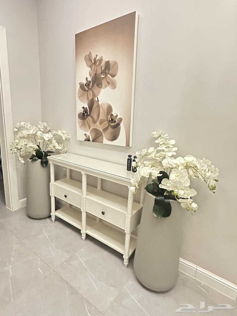 مراكن اوركيد ولوحة ديكور64428066619650111