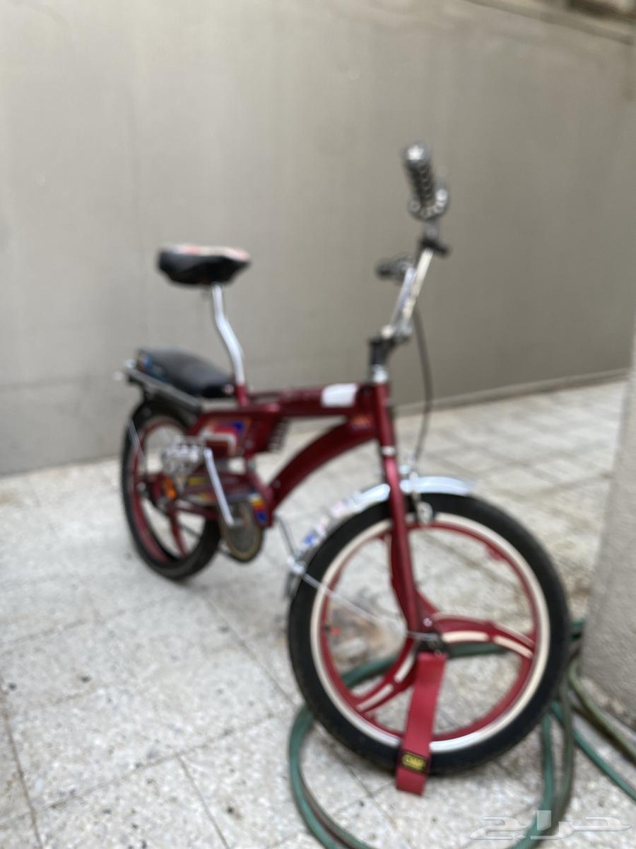 سيكل رامبو عنابي يوم يبدا  من 40064428887150849113