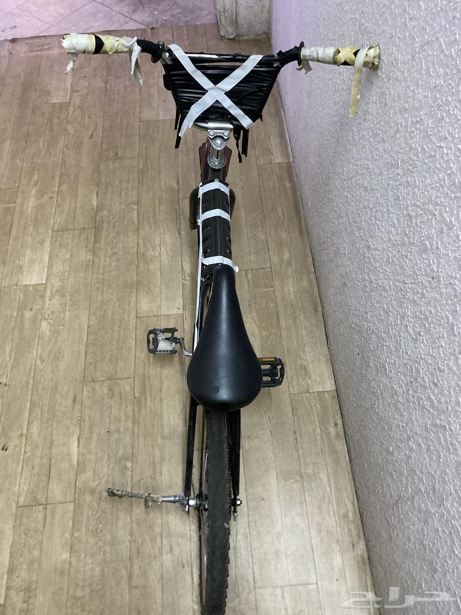 سيكل صيني درجه164429532372481113