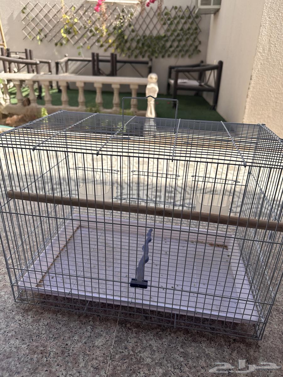 قفص طيور64429600250241110