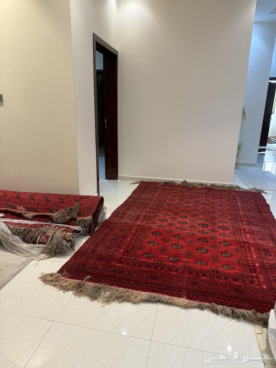 زولية64431937740929113