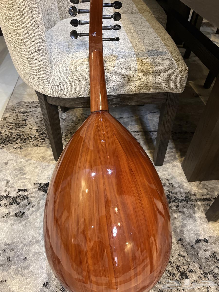 عود نصف لوكس للبيع64430643616001111