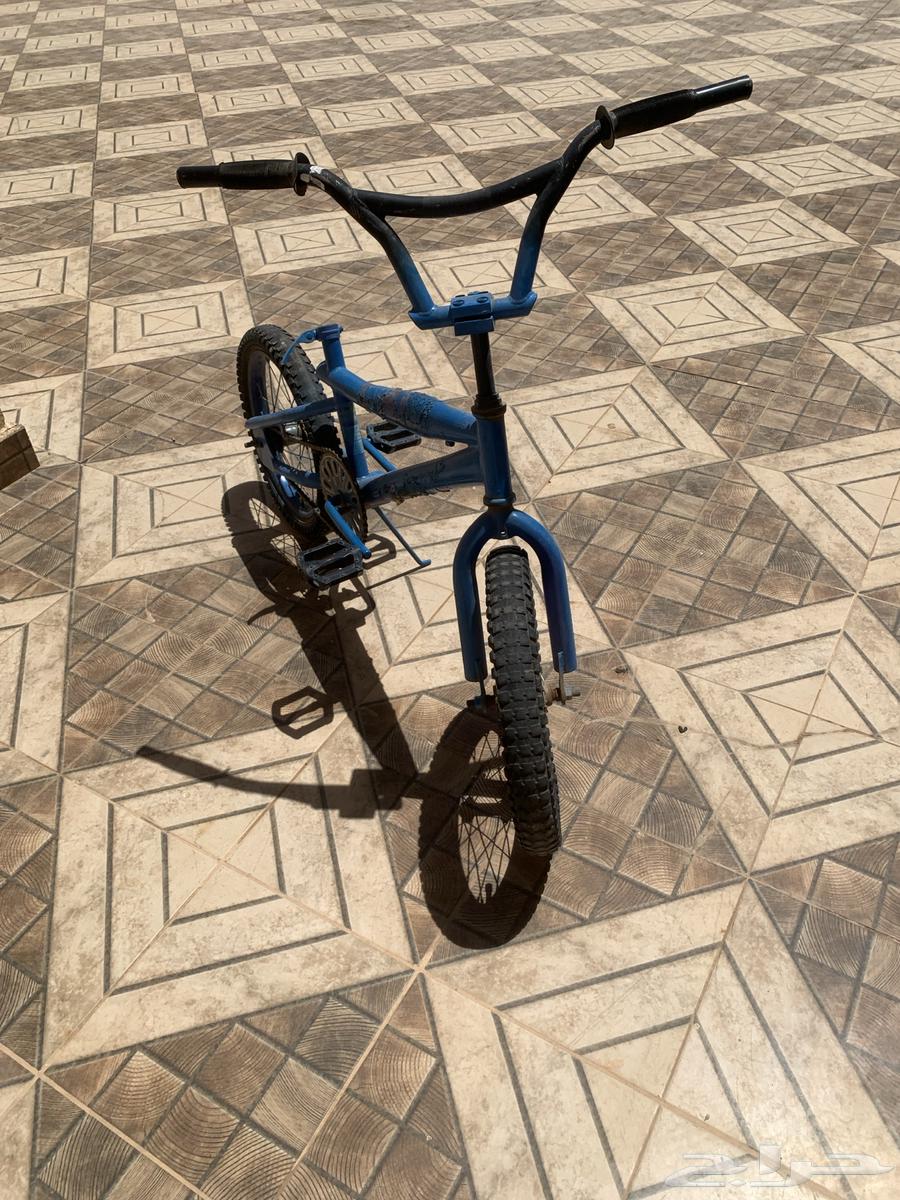 New Snake Cycle, but Not Sprayed with Spray64428725413891110