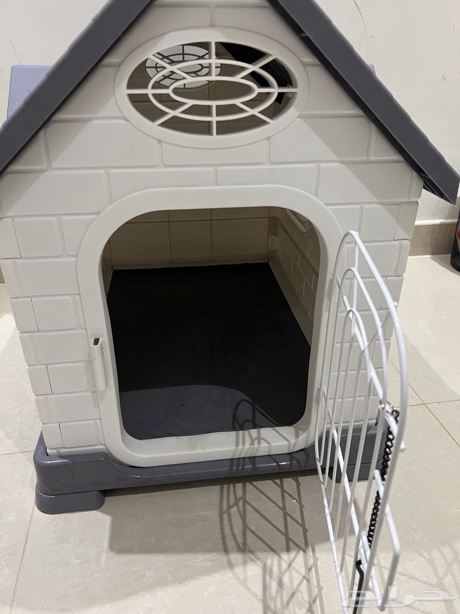 بيت كلب بومرينيان للبيع جديد64426335430017112