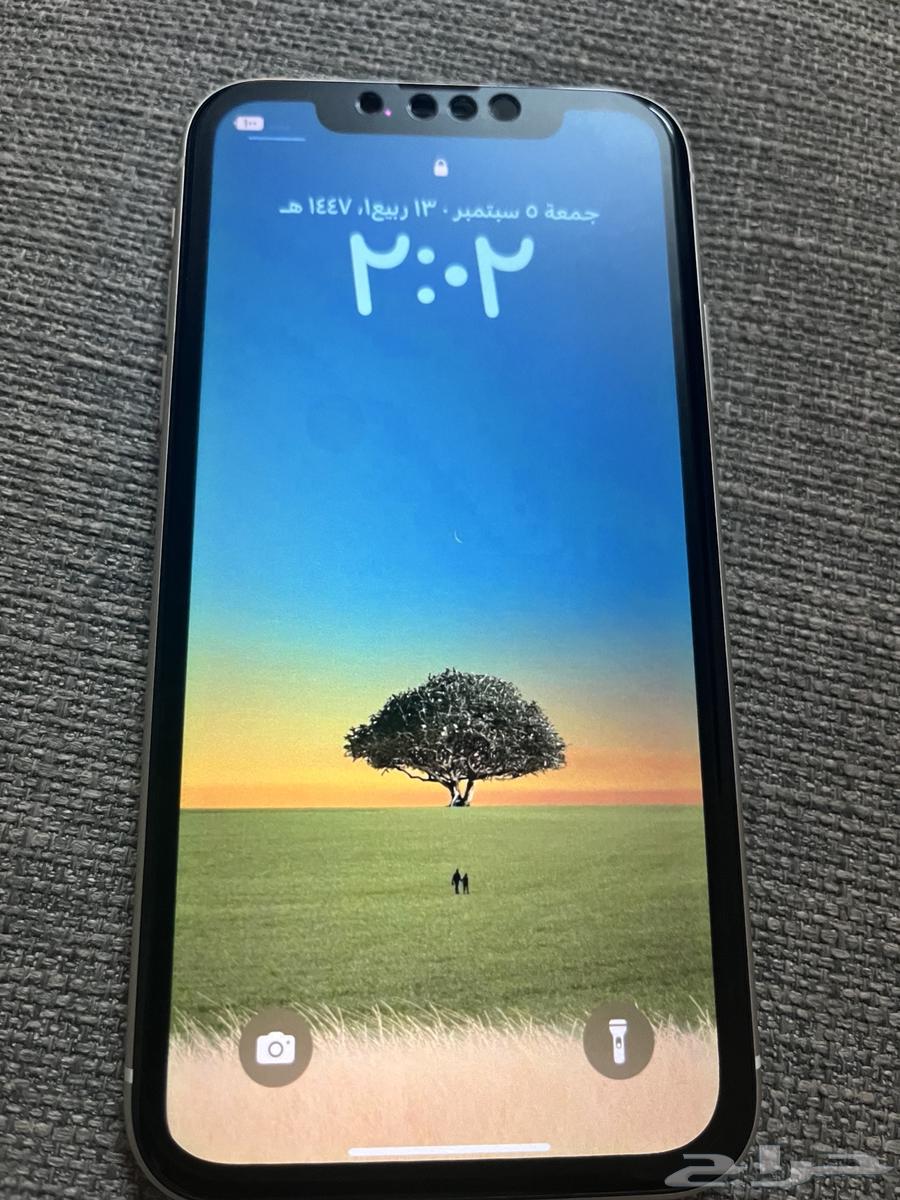 iPhone 11 Regular64428995619585110