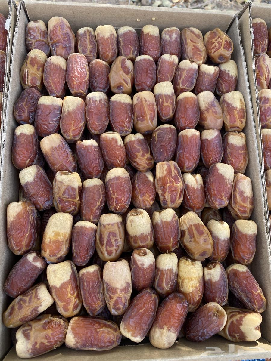 Second-grade Safawi dates64427731148931113