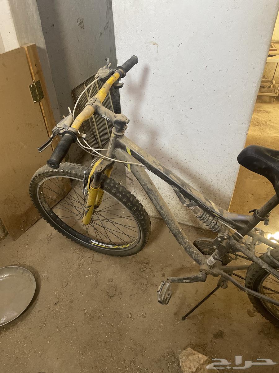 سيكل رياضي64428671164546111