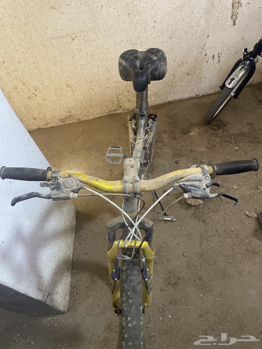 سيكل رياضي64428671164546113