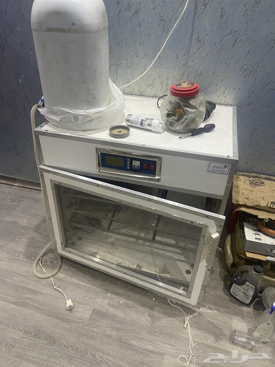 فقاسه بيض 500 بيضه صناعه.64427264046082112