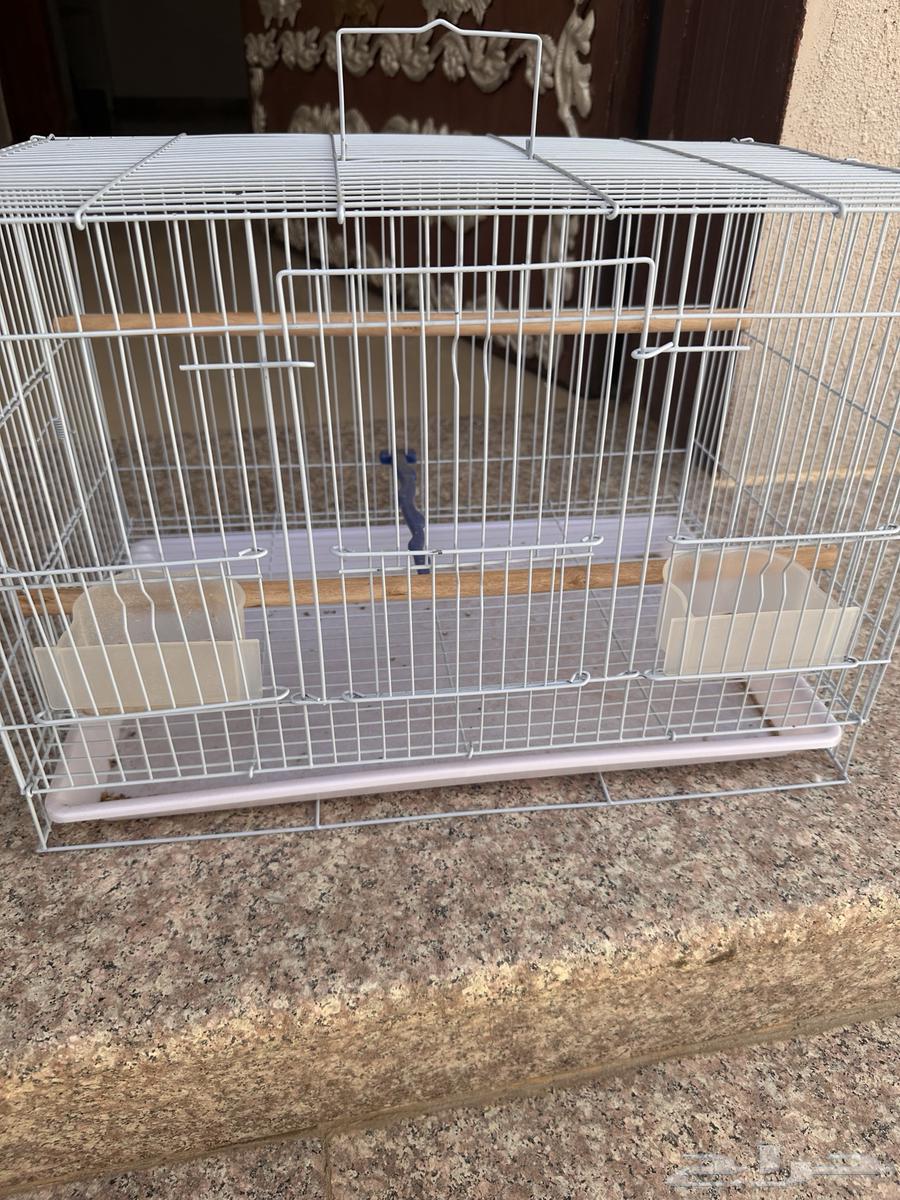 قفص طيور64429600250241113