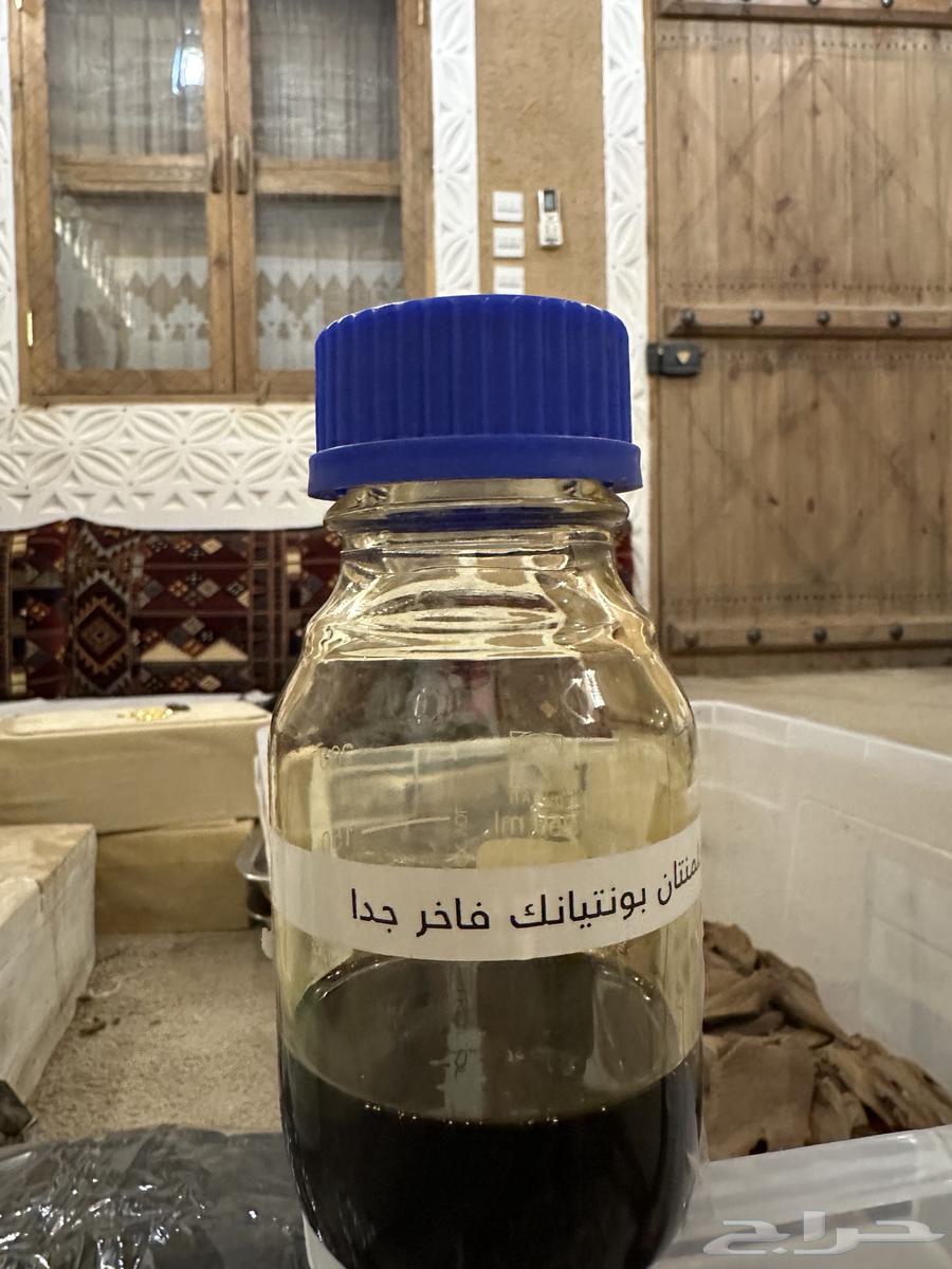 دهن عود كلمنتان بونتيانك فاخر جدا64431589313665110