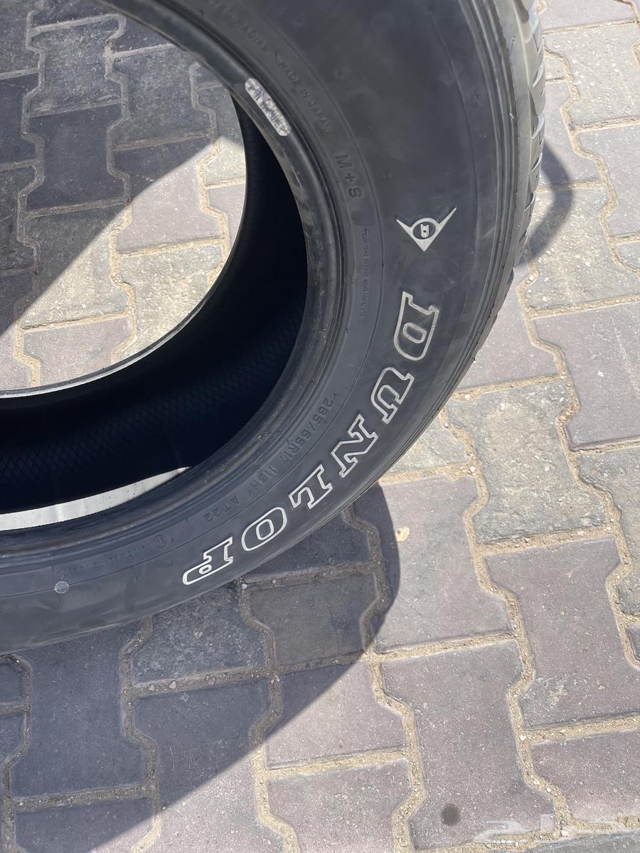 كفر دلوب حبه 1 مقاس 1764587329707010112