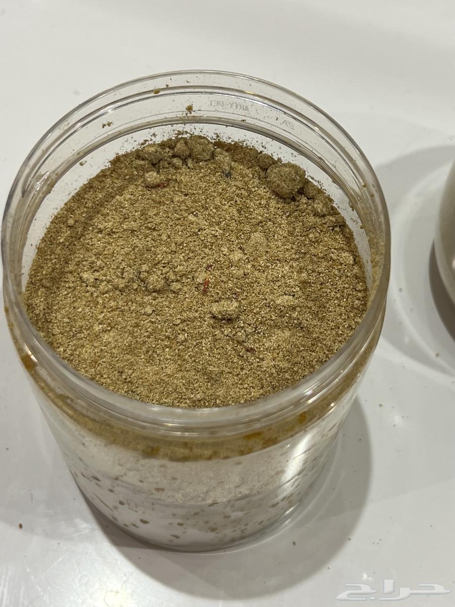 قهوة بيشة الاصلية64428228497666113