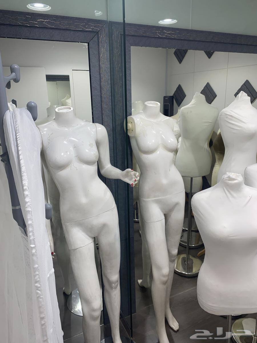 مانيكانات مستخدمه64430313658753111