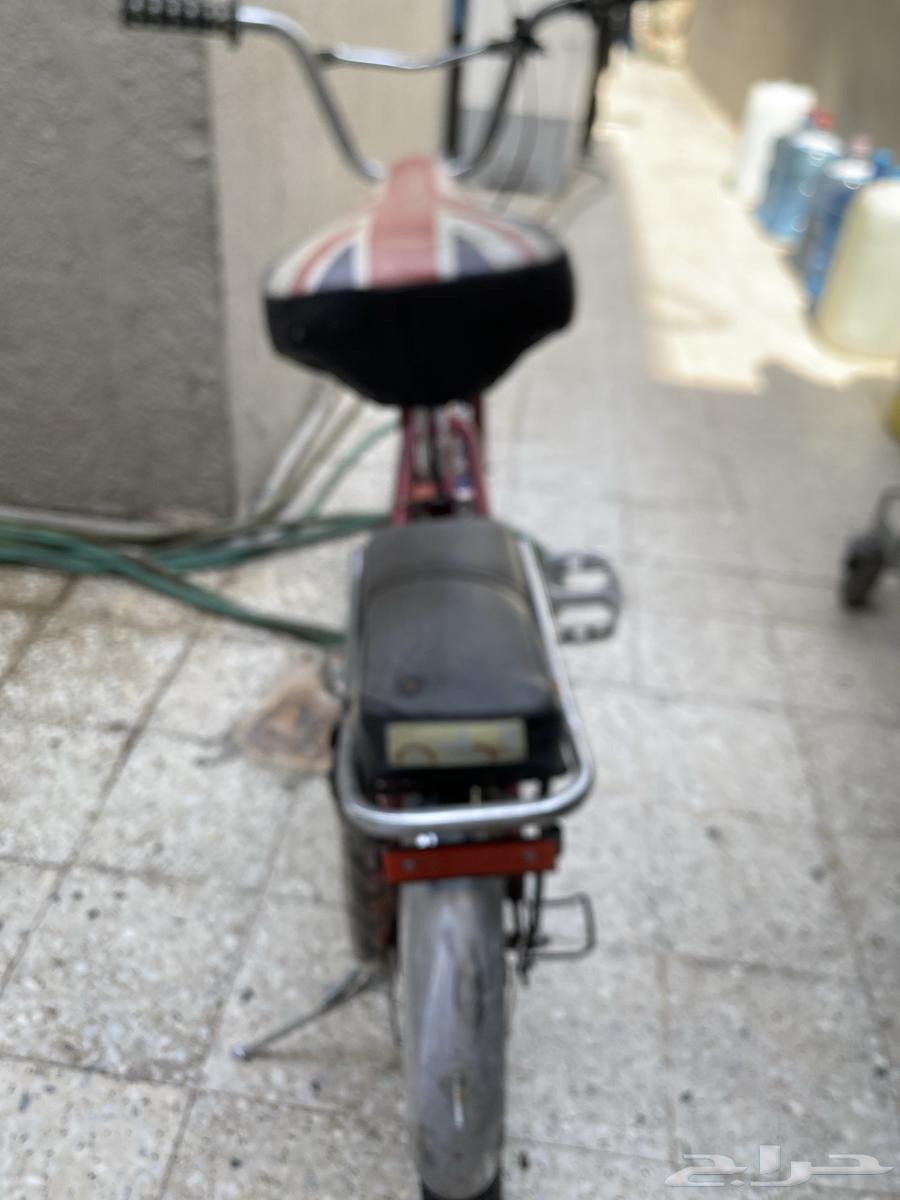 سيكل رامبو عنابي يوم يبدا  من 40064428887150849112