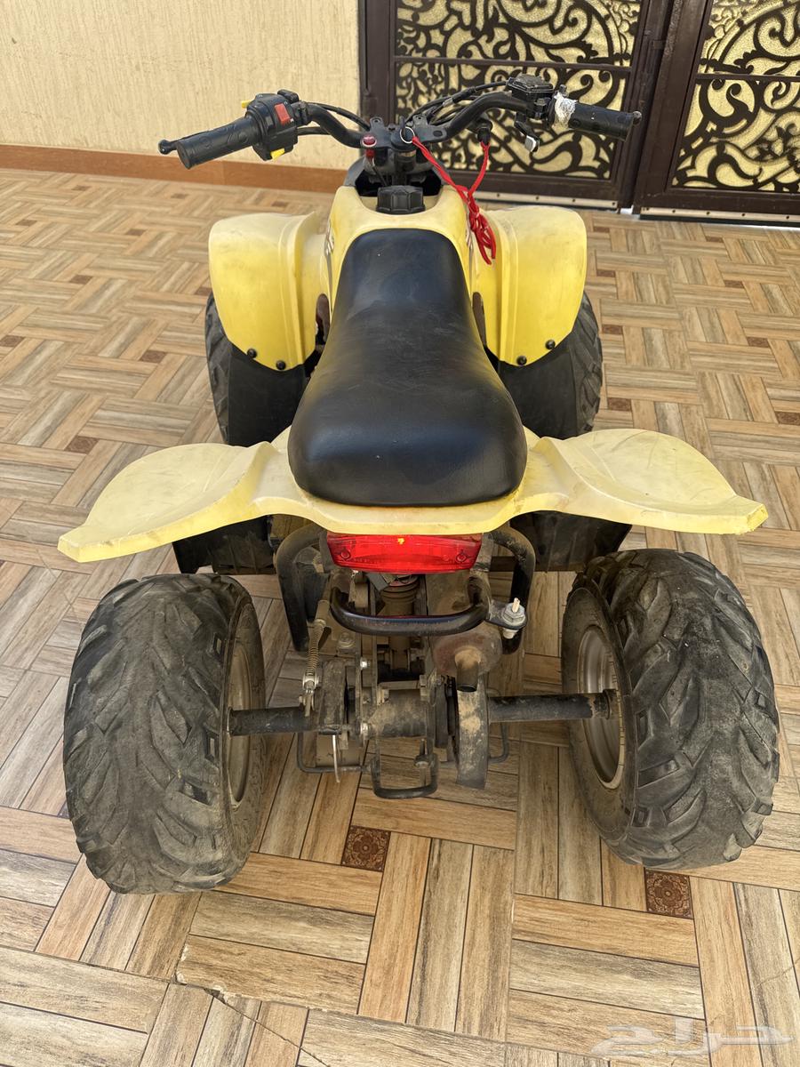 دباب تايون مقاس 50 للبيع64590052149505113