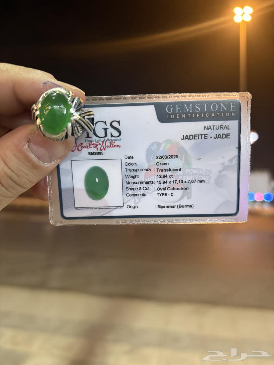 خصومات بمناسبه مولد النبوى الشريف64428483219458110