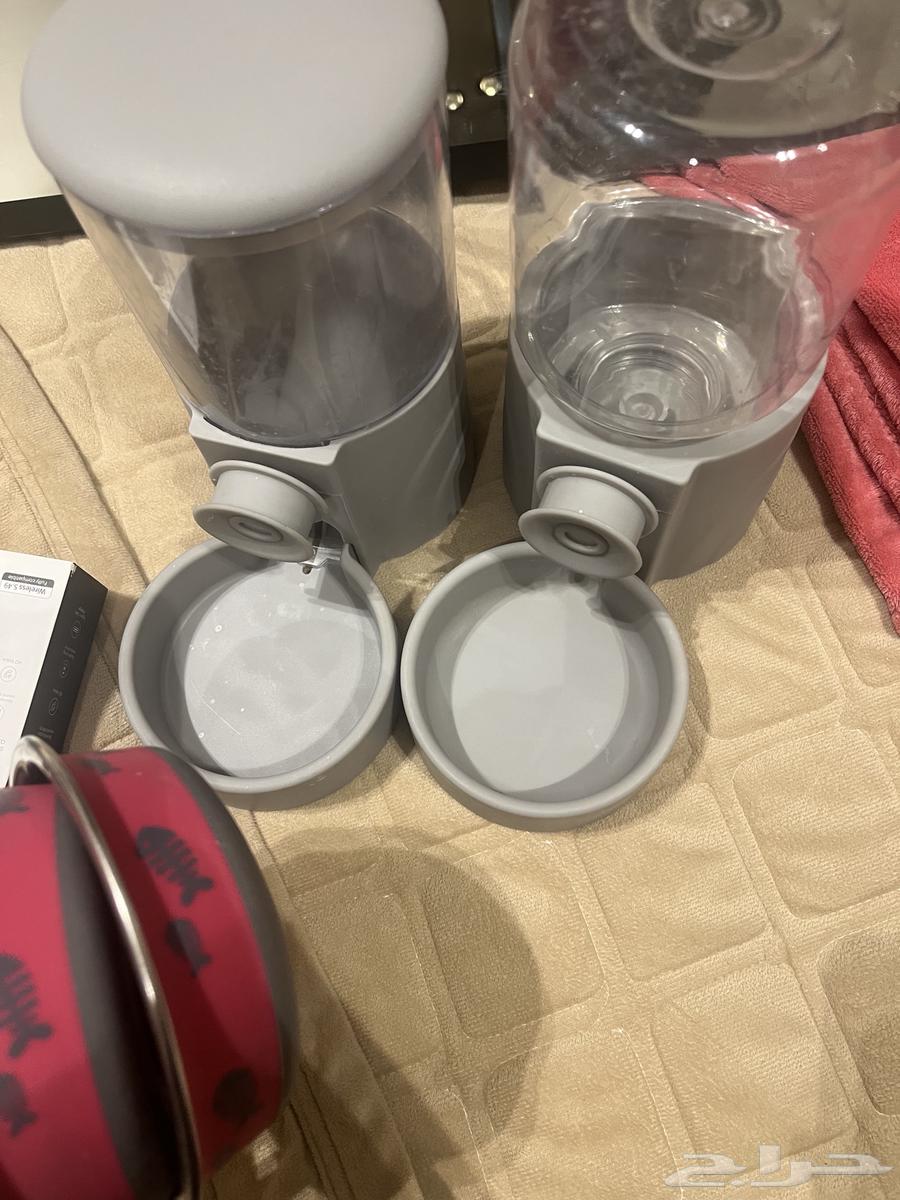 Cat Items64432060650882110