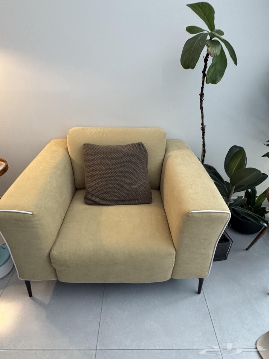 كنب مستخدم ونظيف للبيع64428550079361111