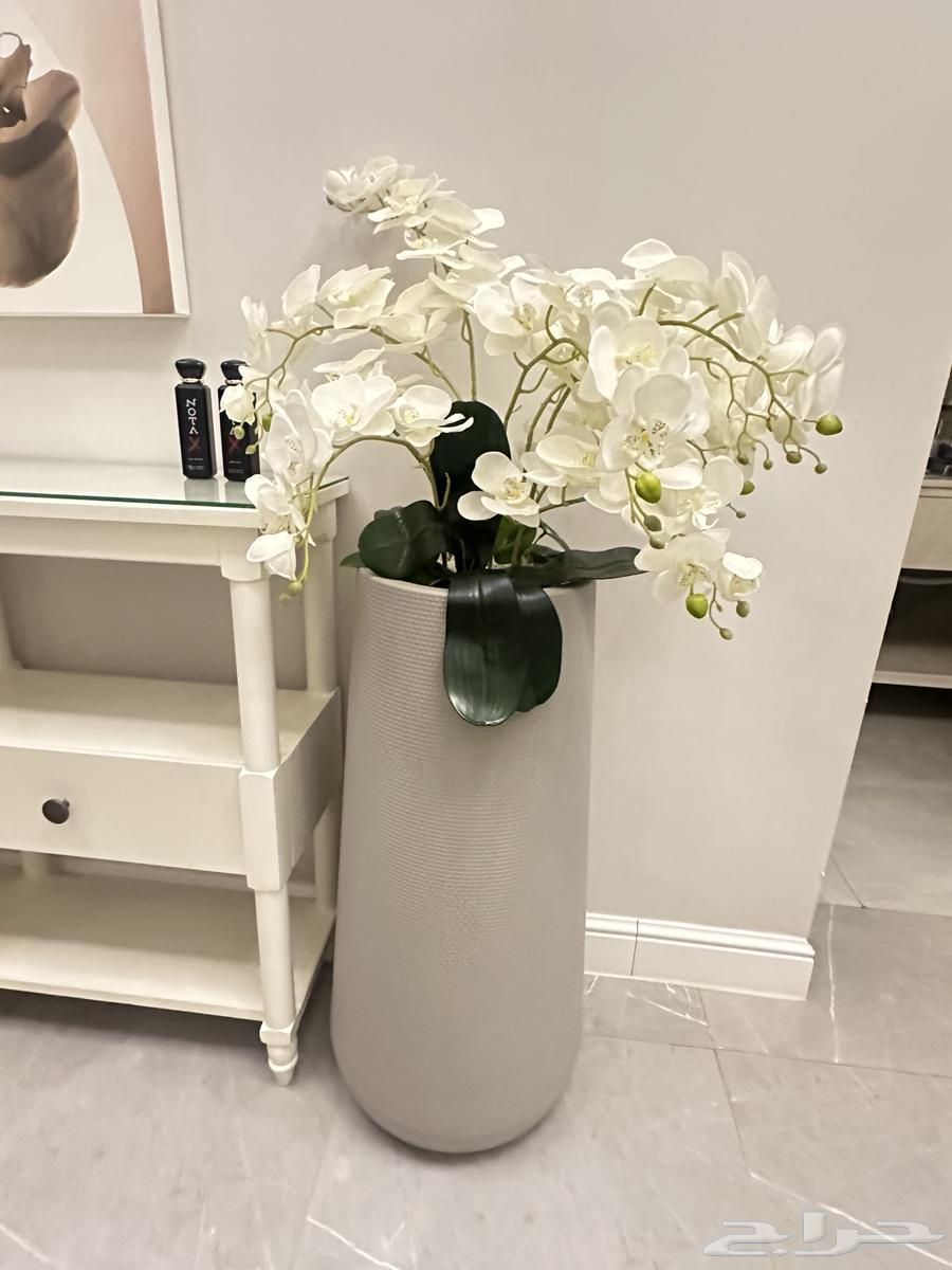 مراكن اوركيد ولوحة ديكور64428066619650114