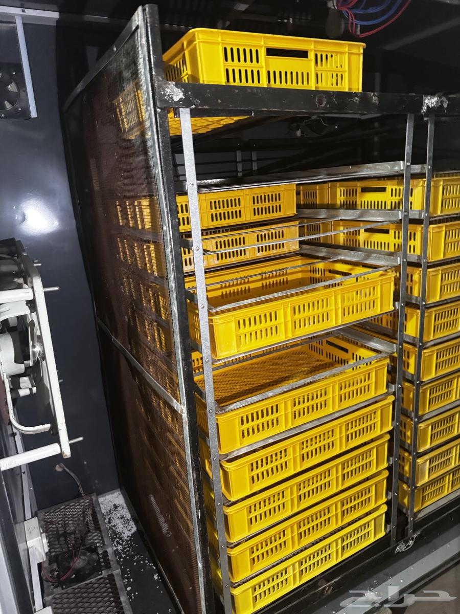 Automatic incubator 3500 eggs64433337063683112