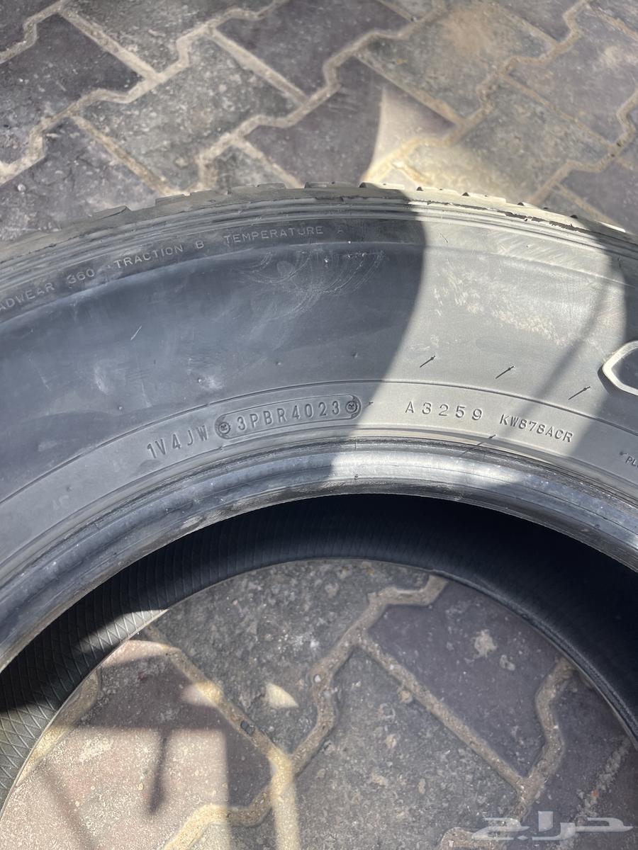 كفر دلوب حبه 1 مقاس 1764587329707010111