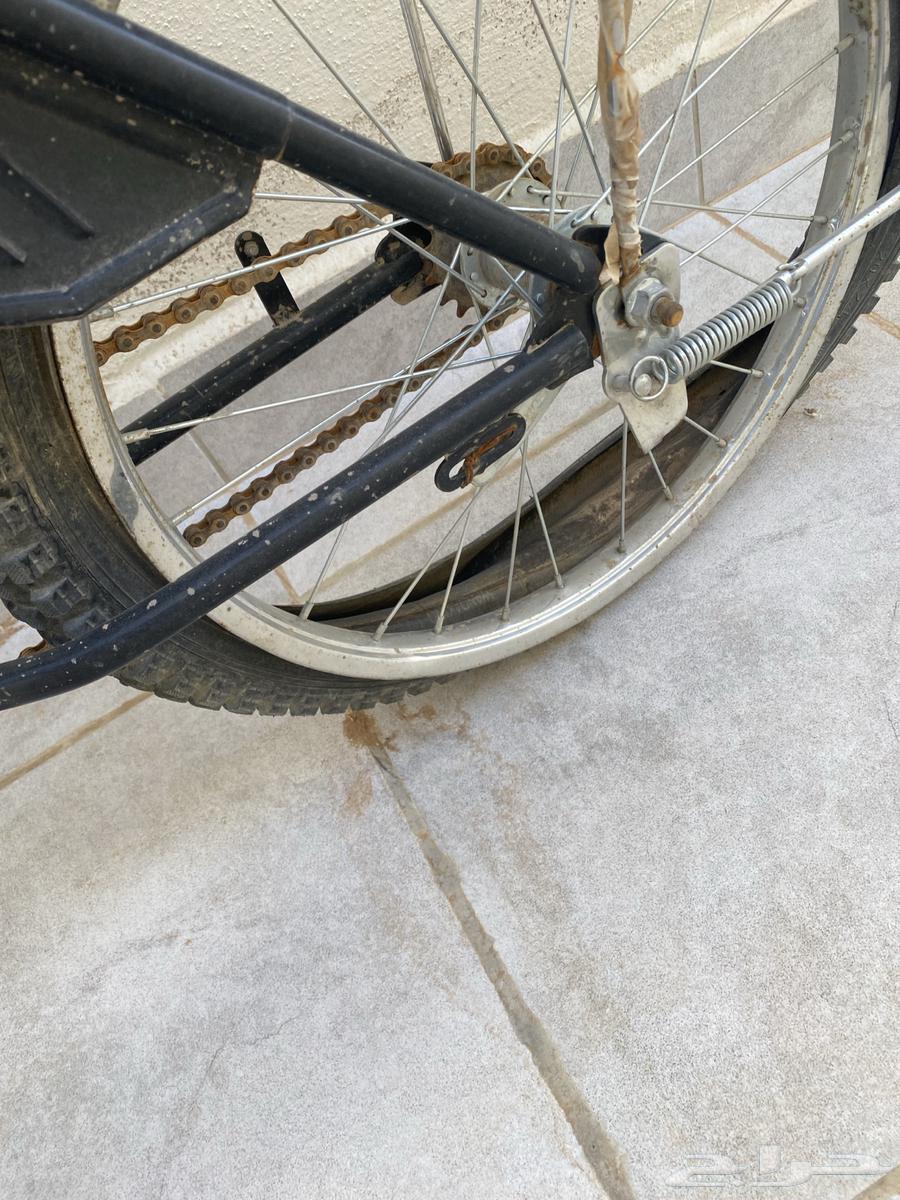 سيكل رامبو للبيع64430272736003114