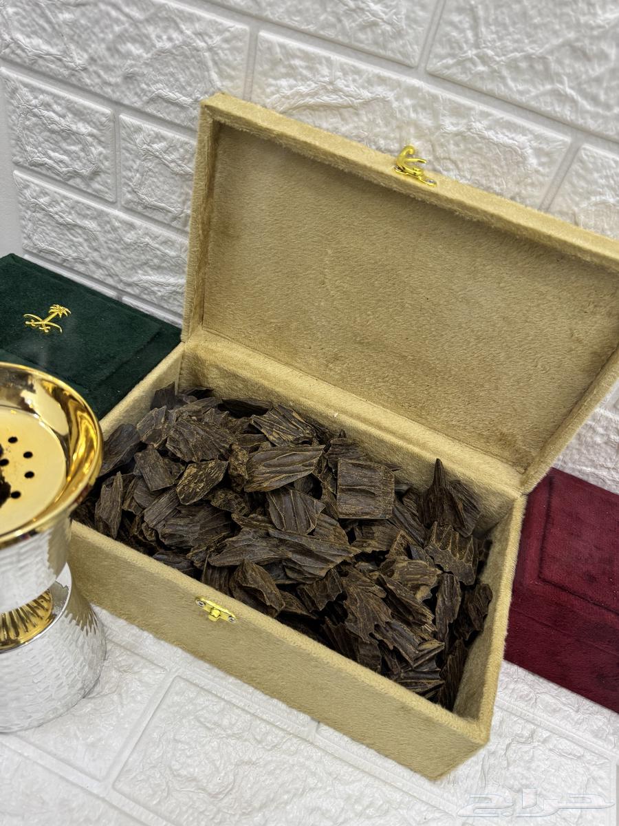 عرض على العود الازرق الربع ب 25064429573137921110