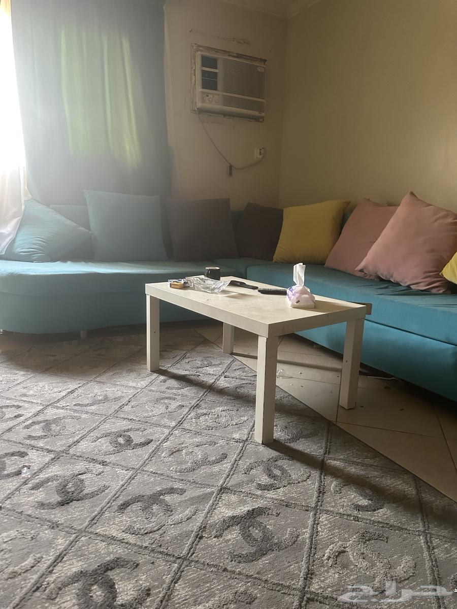 الروضة الرياض64429613886467111