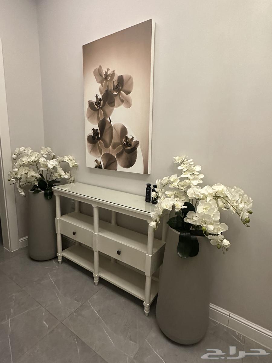 مراكن اوركيد ولوحة ديكور64428066619650110