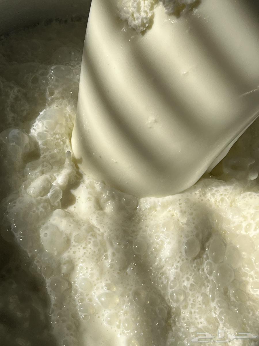 حليب ماعز64429573161218112