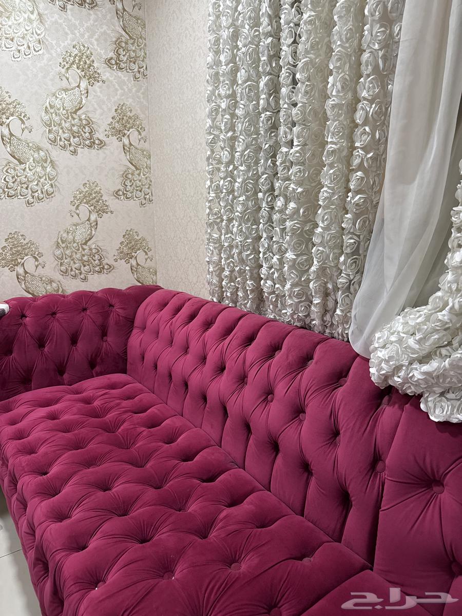 New clean sofa64430792443779110