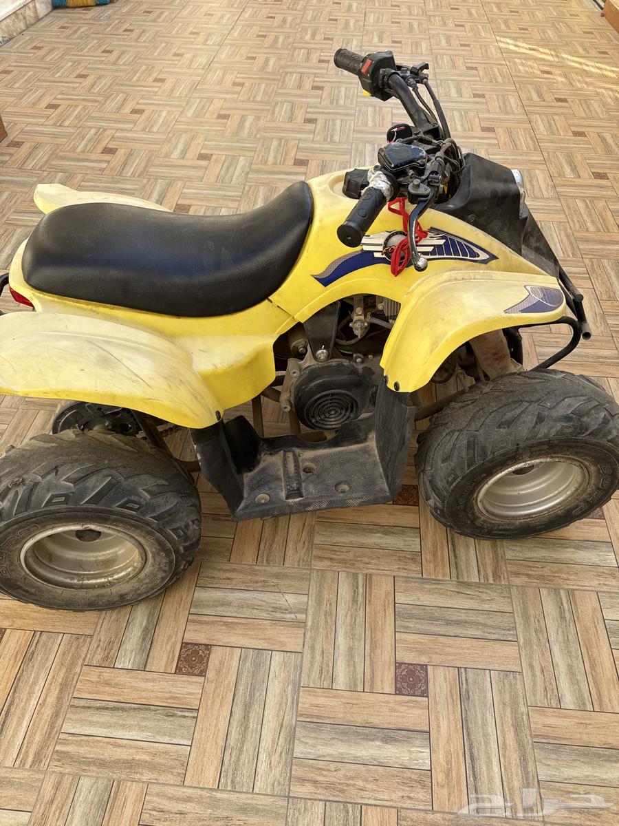 دباب تايون مقاس 50 للبيع64590052149505112